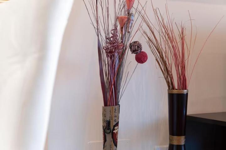 Yovalu Con Balcon,Yovalu1Sin Balcon, Yovalutres Con Piscina Apartment Torrevieja Phòng bức ảnh